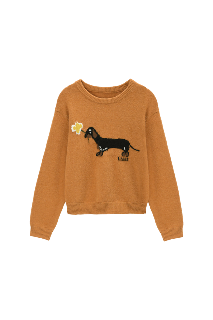 Knit Shirt for Women