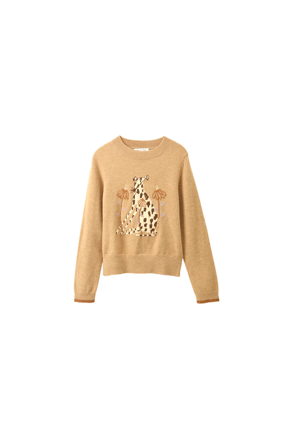 Sweater for Women