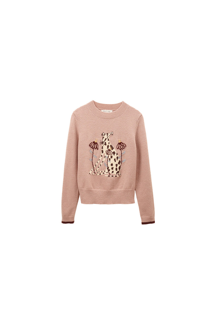 Sweater for Women